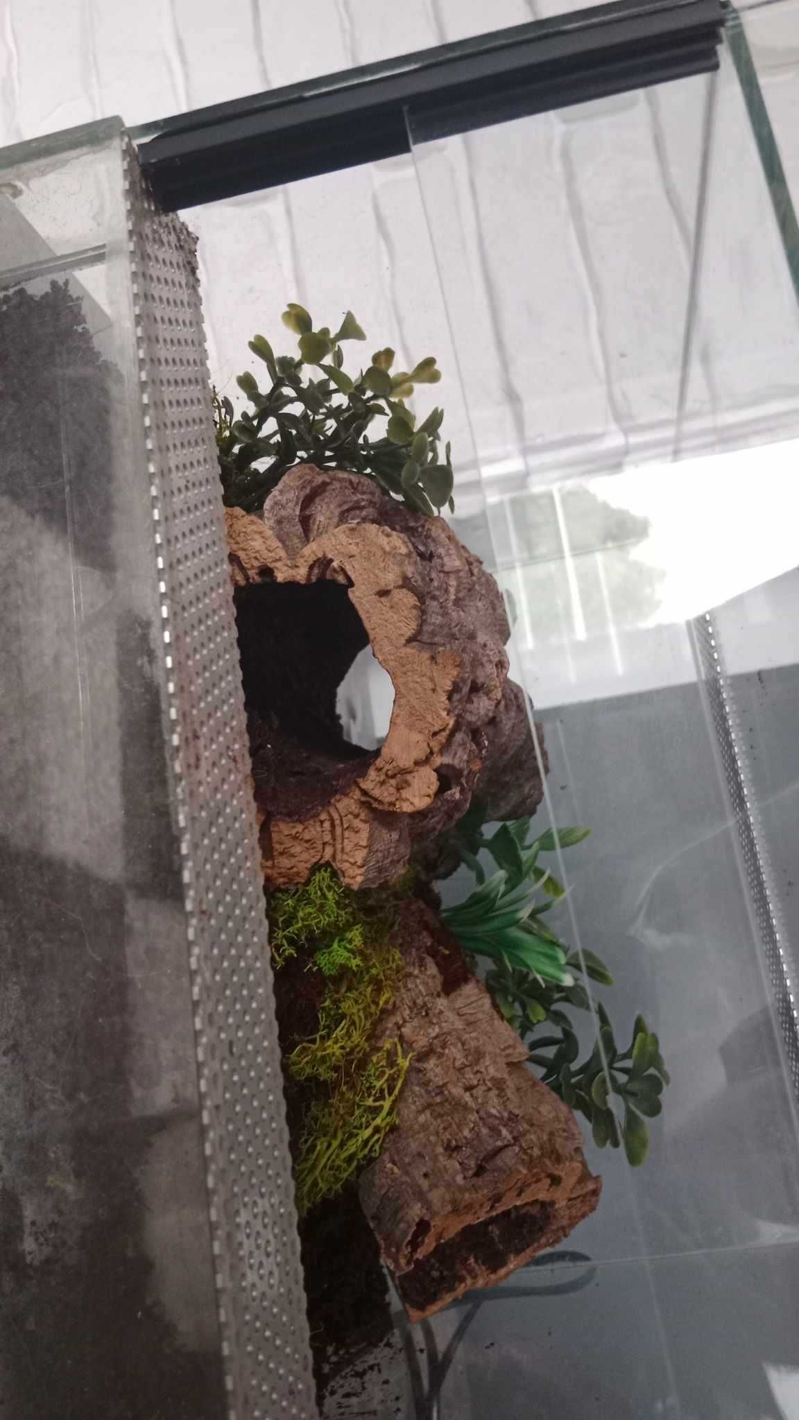 Terrarium 30x30x20