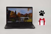 Dell Precision 3540 i7-8565U Radeon Pro WX 2100 16/512 Ігровий Ноутбук