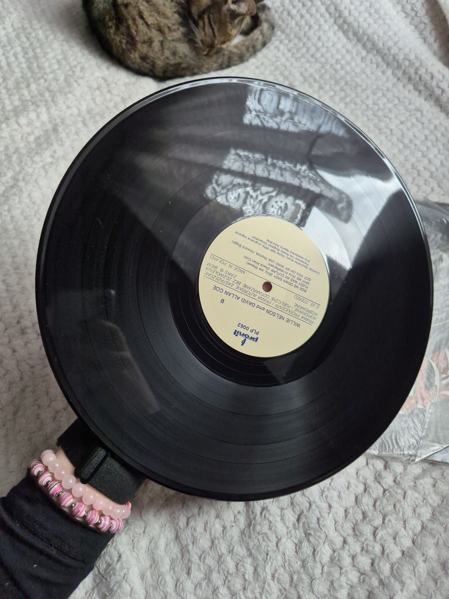 LP. Płyta winylowa, Willie And David