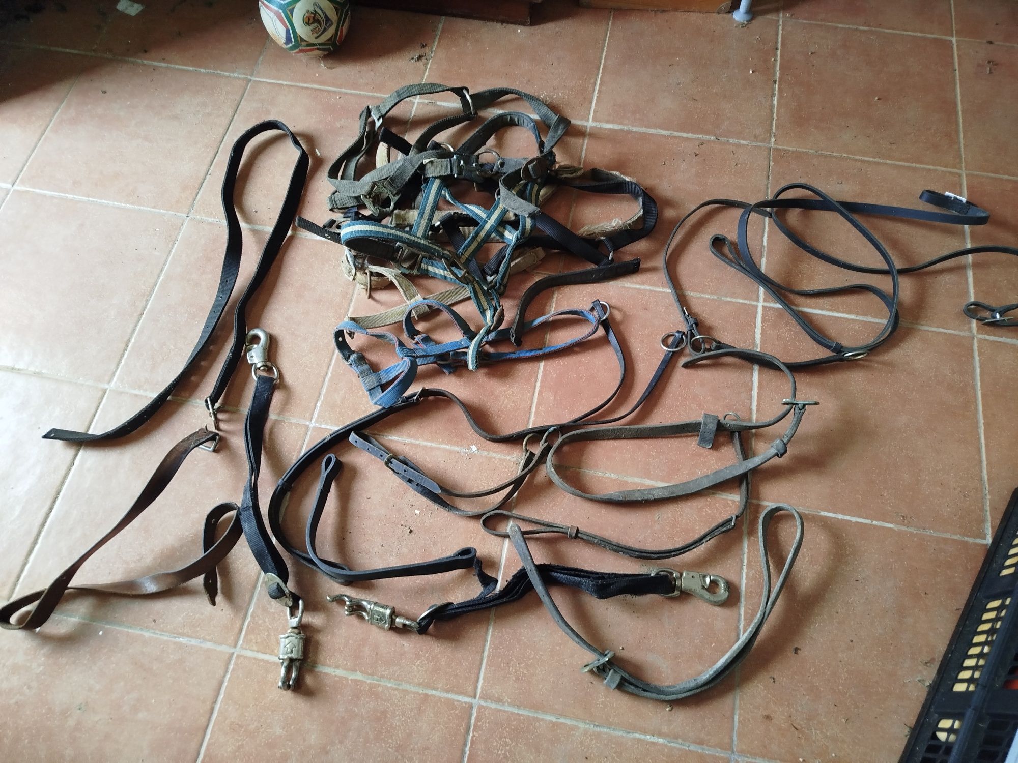 Equitação material