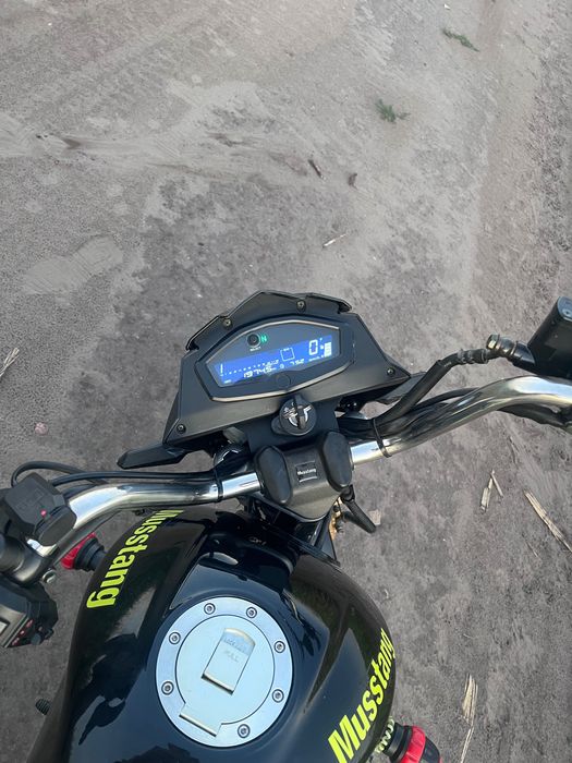 Мустанг фіт 2 ..