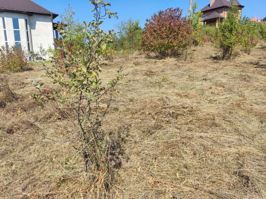 Вигідна пропозиція з продажу ділянки в с. Коровія