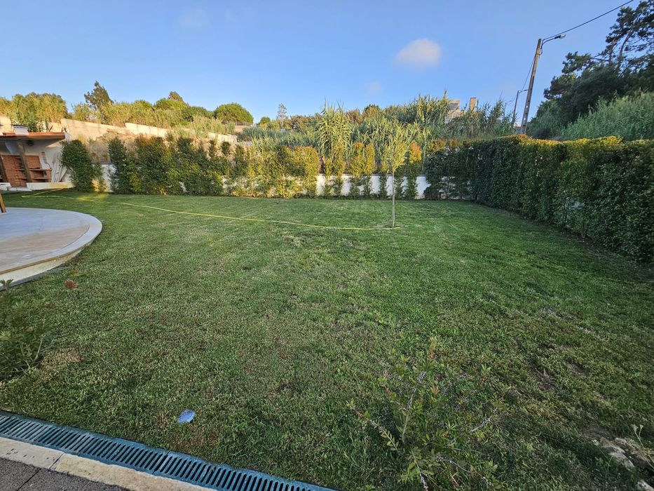 Disponível jardineiro particular para cuidar do seu espaço