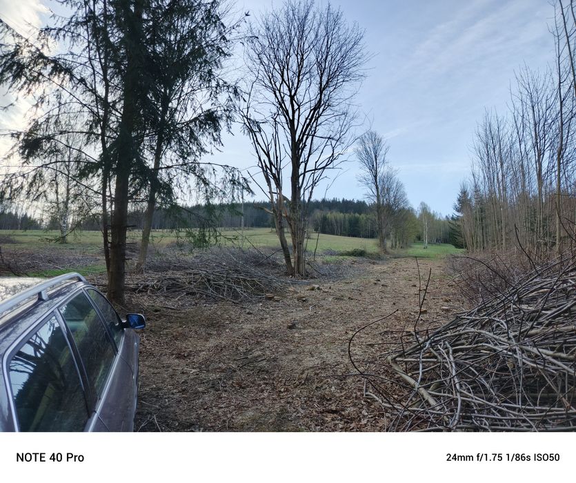 Wycinka drzew, krzaków przygotowanie działek