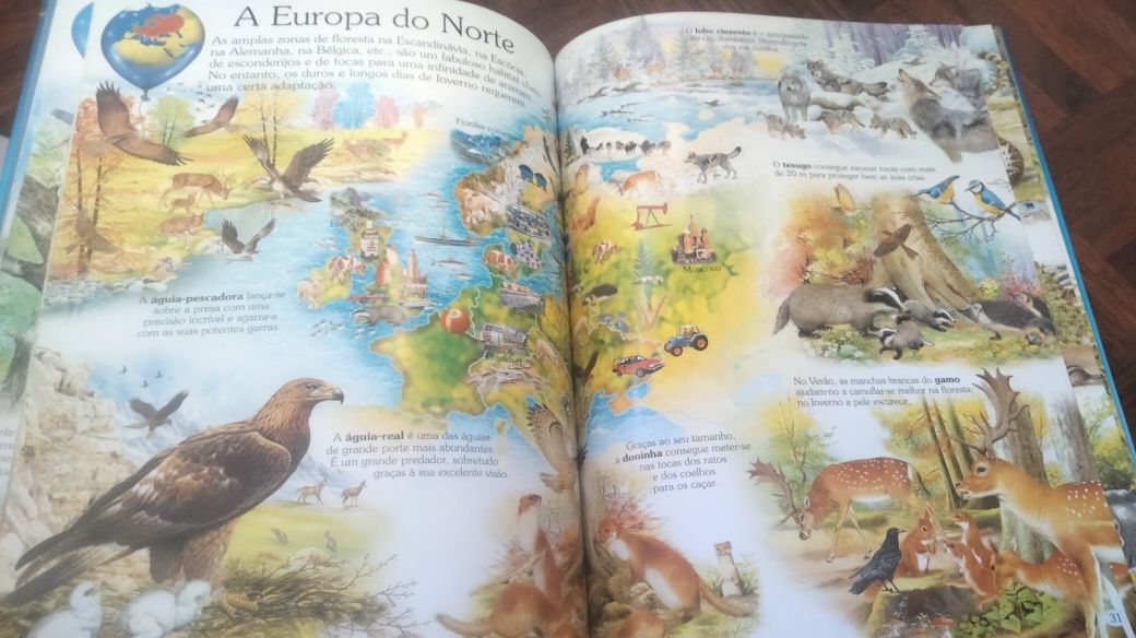 Atlas infantil do mundo animal