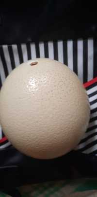 Jajko strusia wydmuszka jajko strusia jajko do decoupage jajo strusia