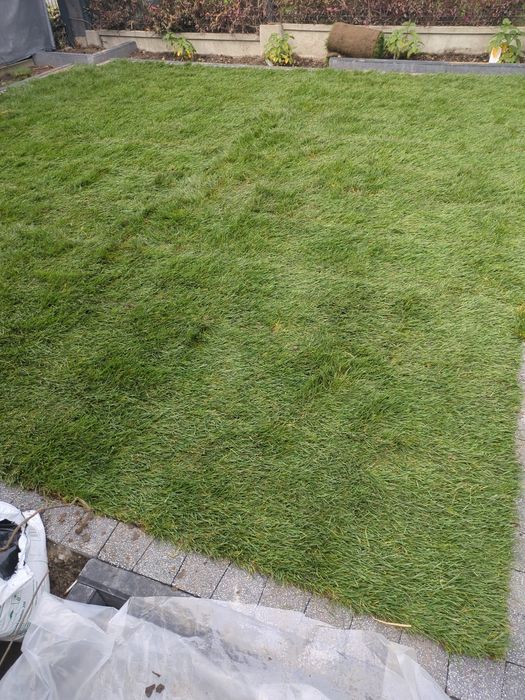 Sprzedam trawę z rolki odbiór osobisty