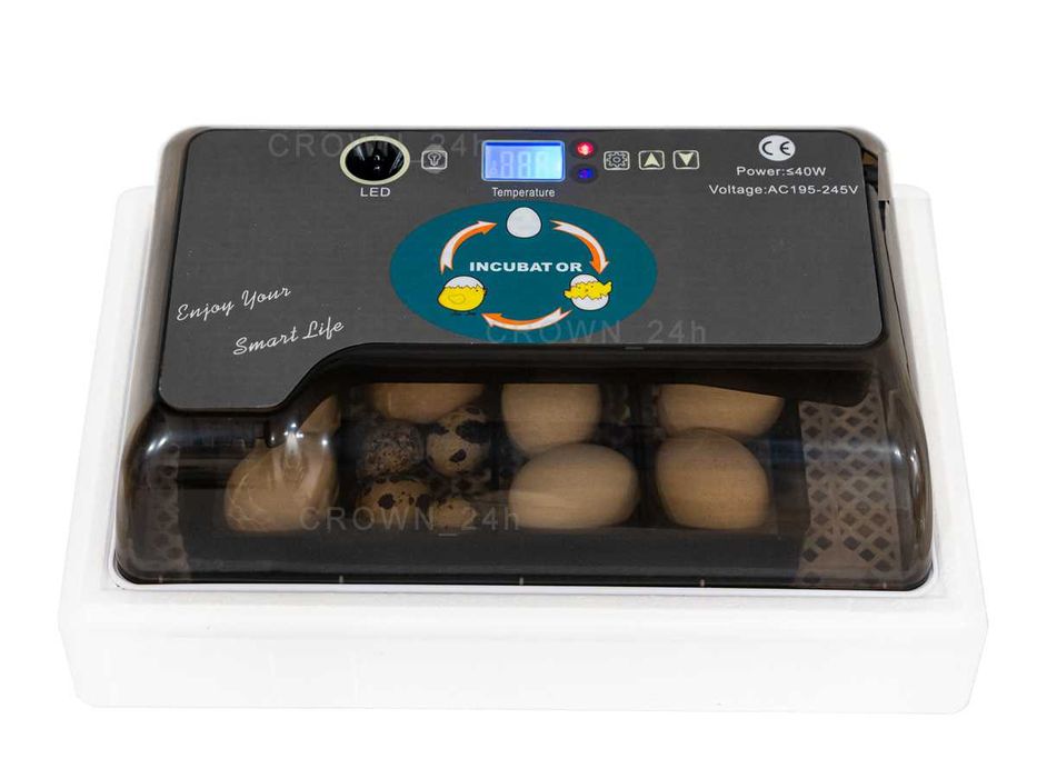INKUBATOR Domowy automatyczny 12 na wszystkie jaja Gęsie Kacze Indycze