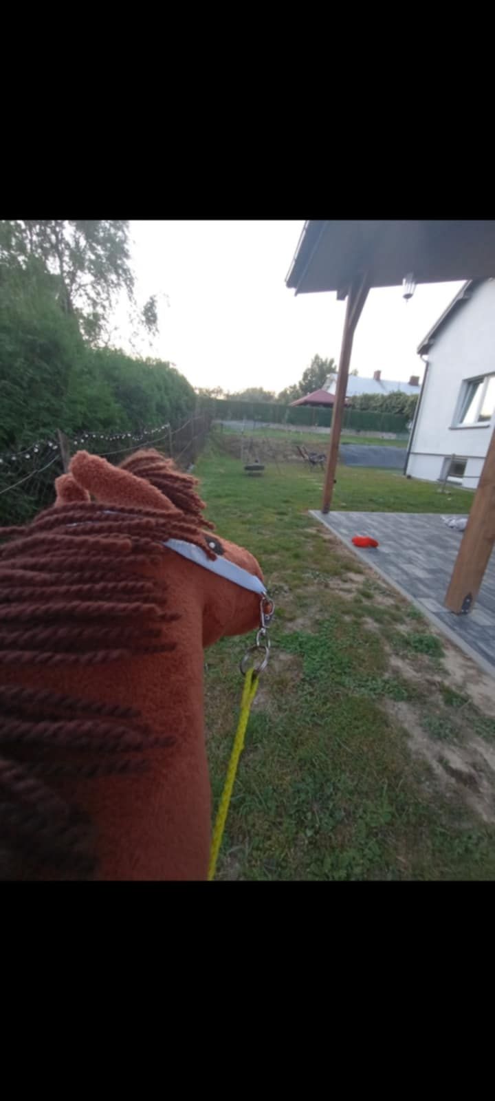 Hobby horsy! Piękny , GRATISY