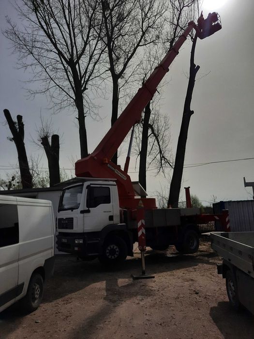 Wycinka drzew, pielegnacja drzew, podnośniki koszowe