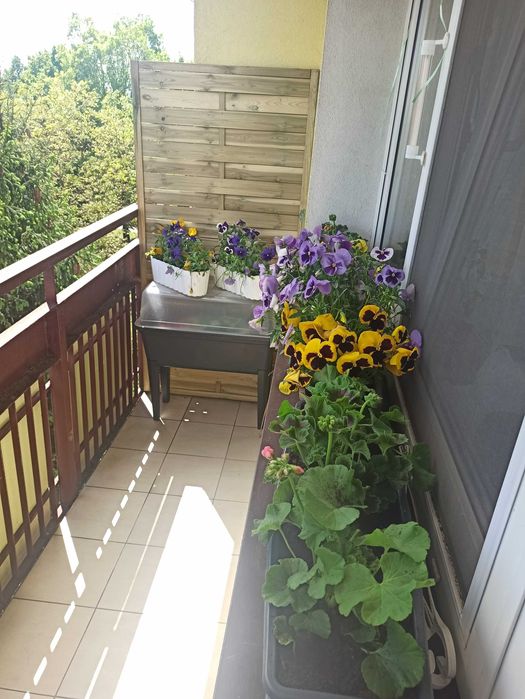 Mieszkanie 48,22 m² 2 pokoje + salon + wyposażenie Radom Prędocinek AK