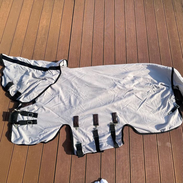 Derka siatkowa Kentucky