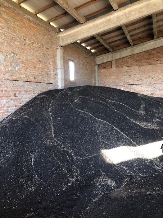 Продам ріпак волога 7-8 %