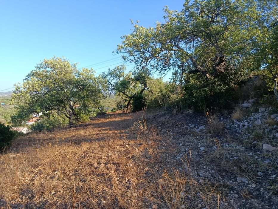 Terreno rústico Boliqueime