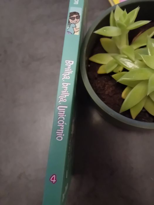 Livro : Brilha ,brilha unicórnio