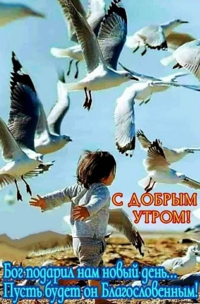 Автожурналы ретро