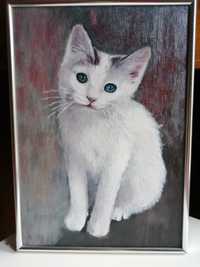 Obraz akrylowy kot