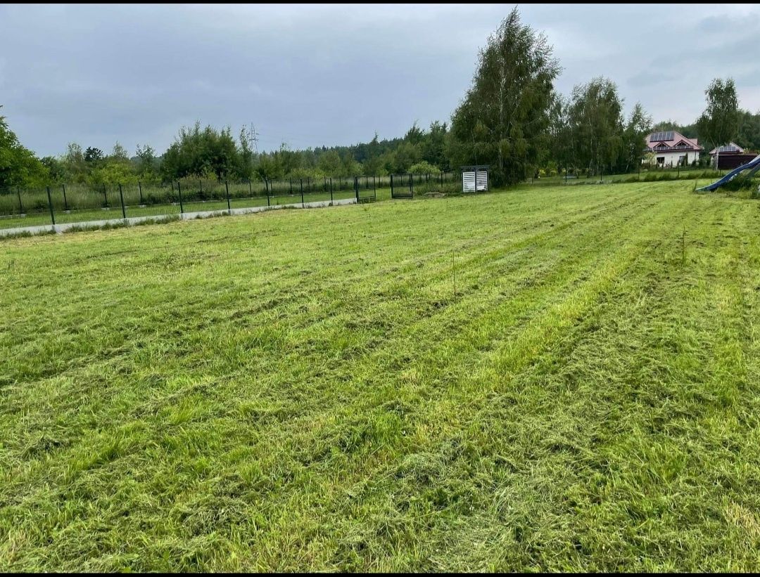 Wynajmę działkę 1000m2.