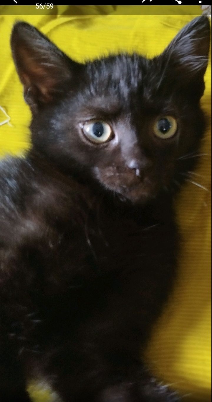 Хлопчик безкоштовно