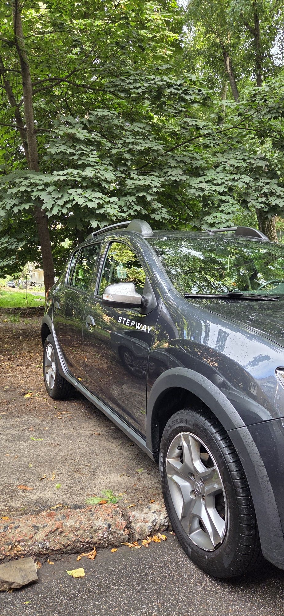 Renault Sandero StepWay 2021
