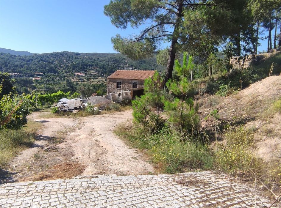 Quinta  Venda em Vela,Guarda