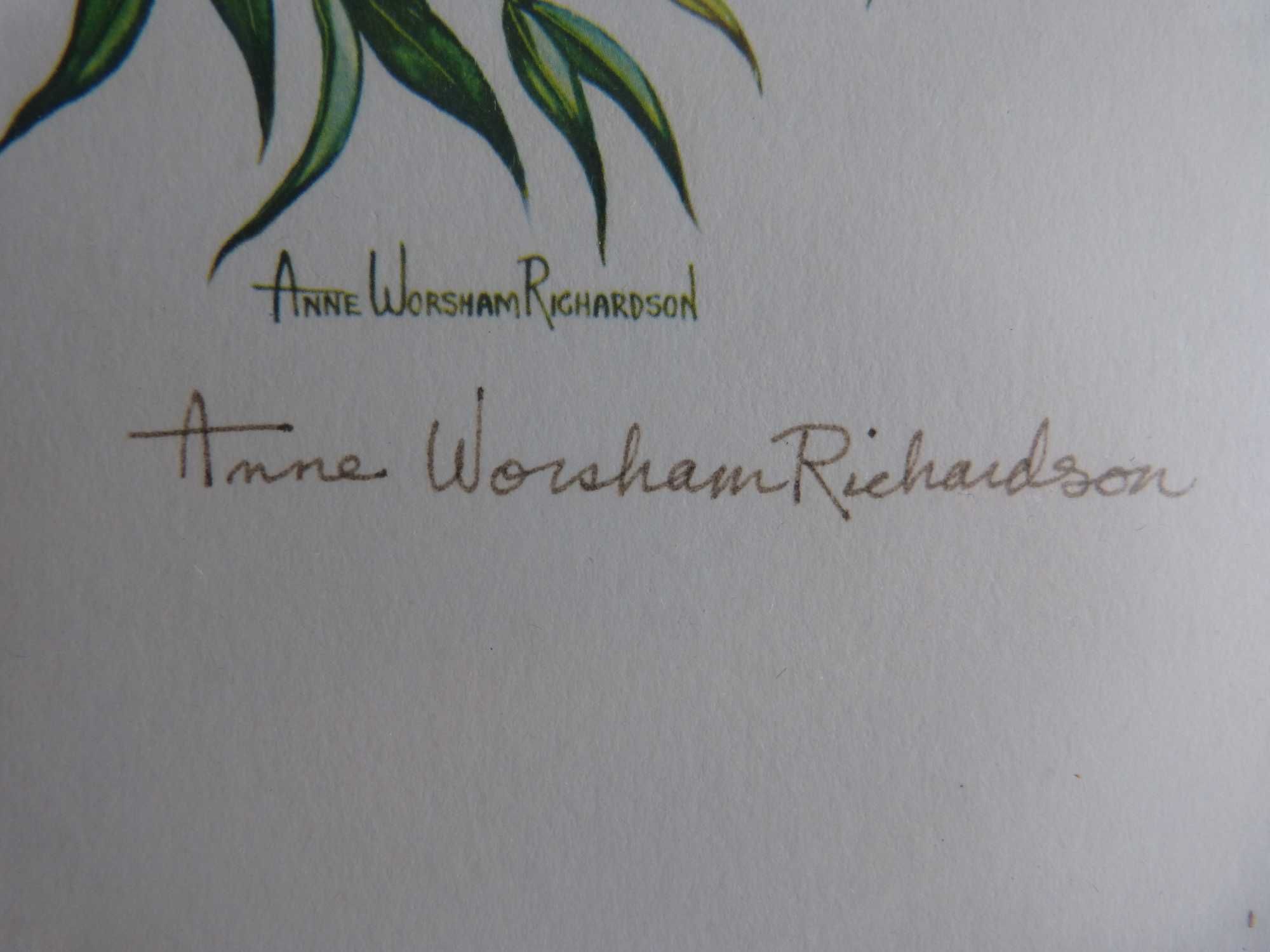 Wydruk ,grafika  z 1969 Anna Worsham Richardson