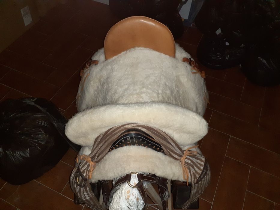 Vendo ou troco montura espanhola mista completa