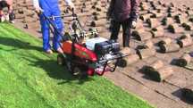 Wycinarka darni Weibang 35cm Honda WBSC409H HONDA WBSC 409H