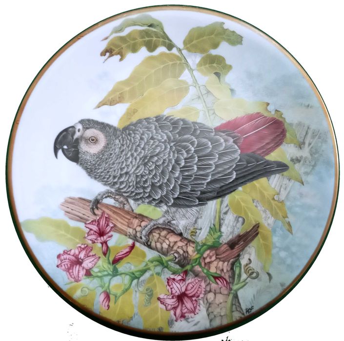 Jóias Vivas da Floresta Tropical - - - - - Pratos