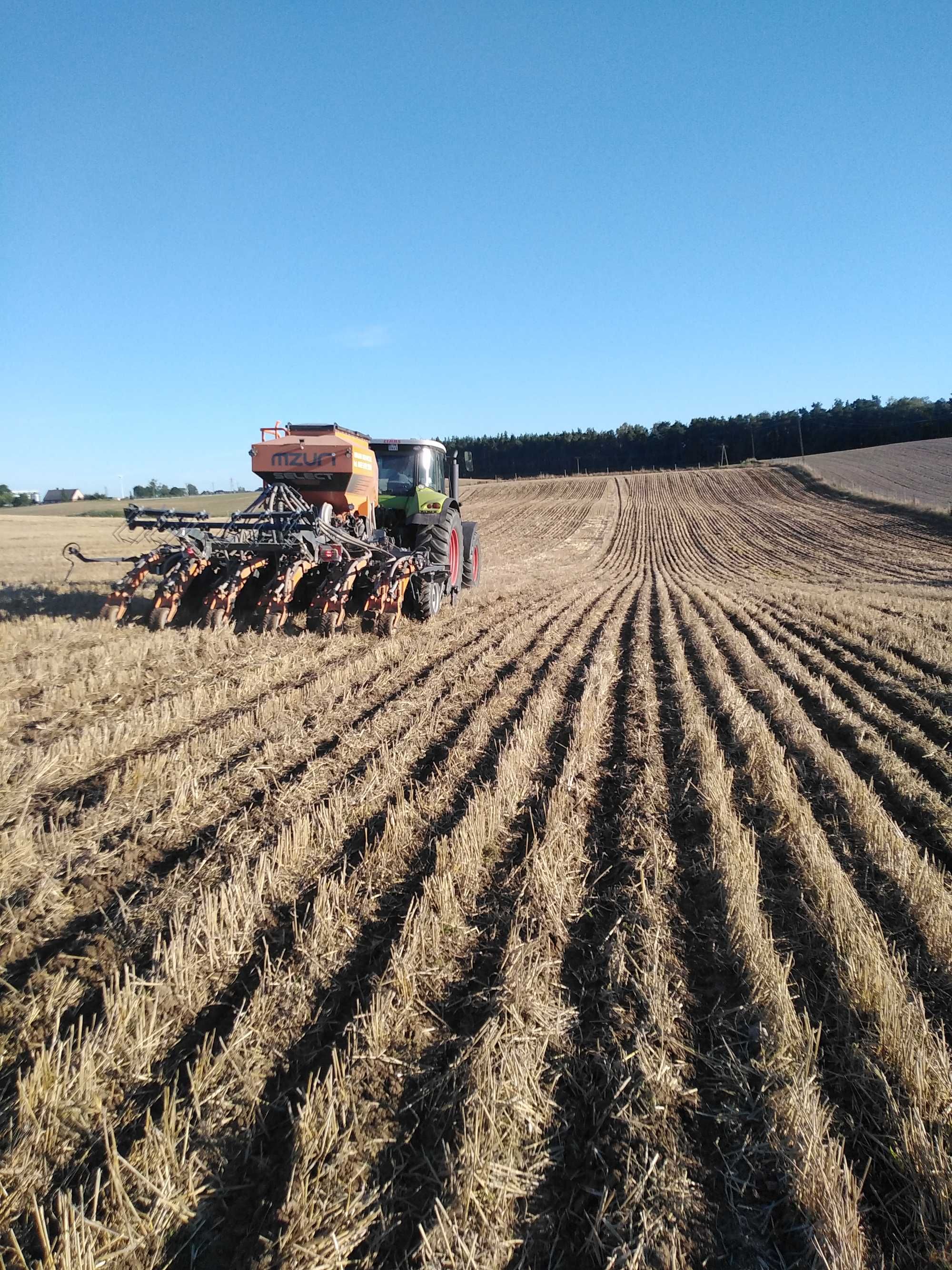 Siew pasowy kukurydzy słonecznika zbóż strip-till uprawa pasowa Mzuri