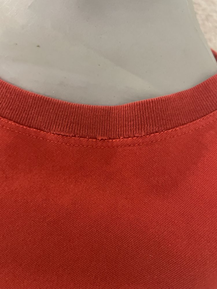 Arc’teryx Men t-shirt size L, 100% Cotton