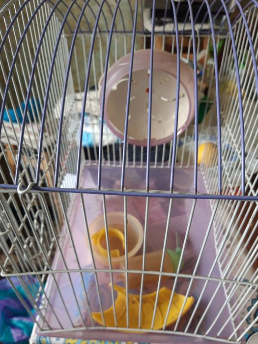 Продам клетку для хомяка,бу