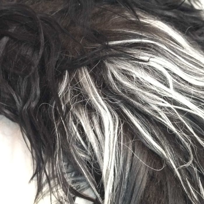 Хутряна накидка вікінгів, ісландська овчина