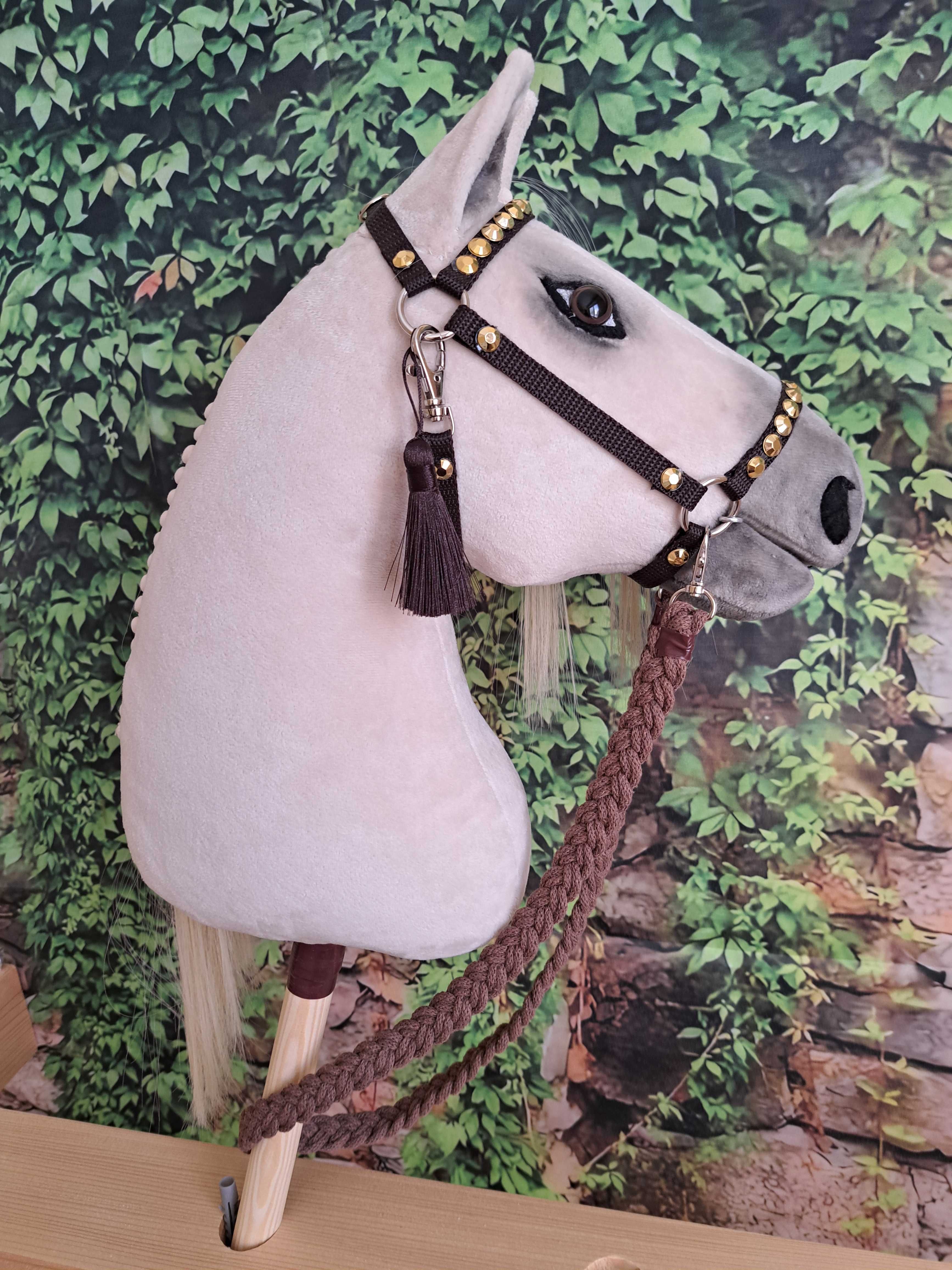 Hobby Horse A3 cremello -  zestaw