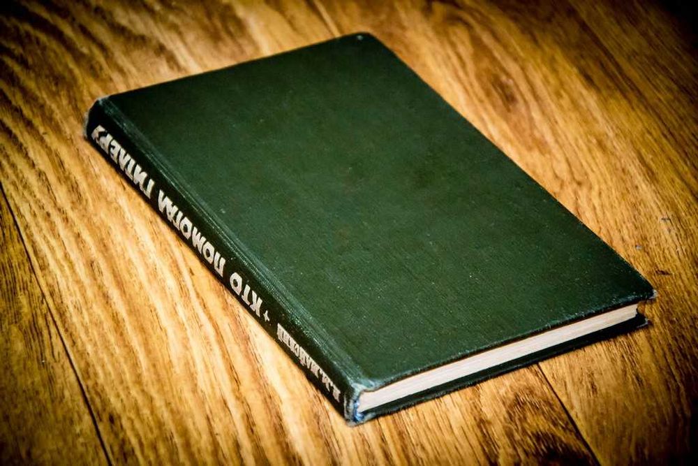 Кто помогал Гитлеру И. М. Майский