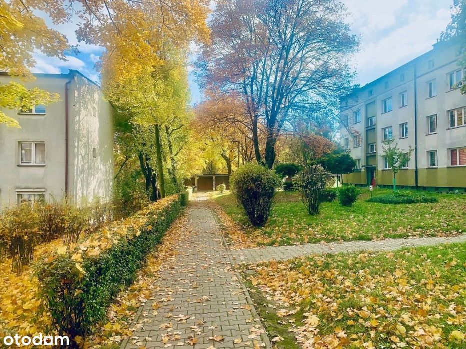 Mieszkanie do własnej aranżacji - top lokalizacja