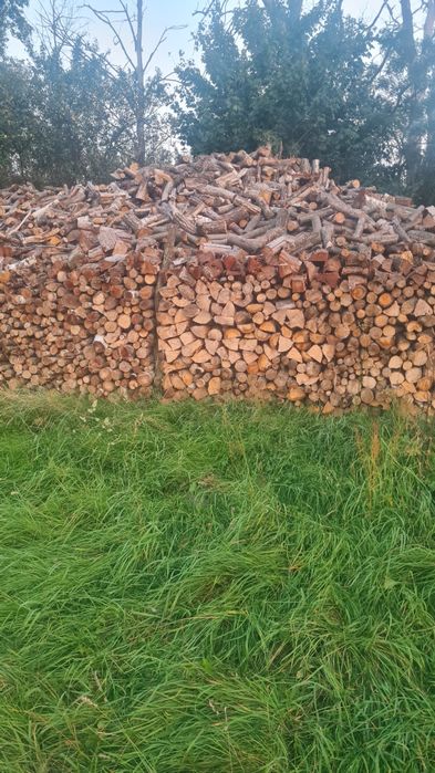 Drewno kominkowe, co., dąb, grab.