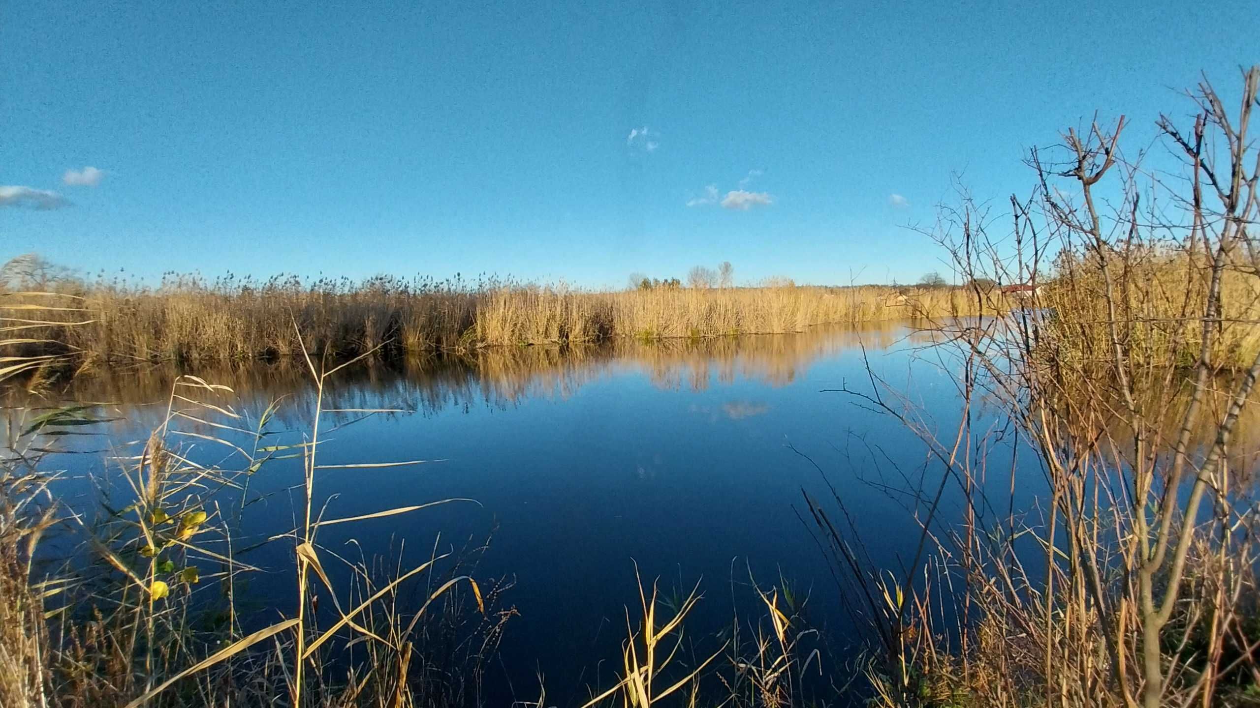 Продам ділянку зі своїм берегом, рн Приднепровска.