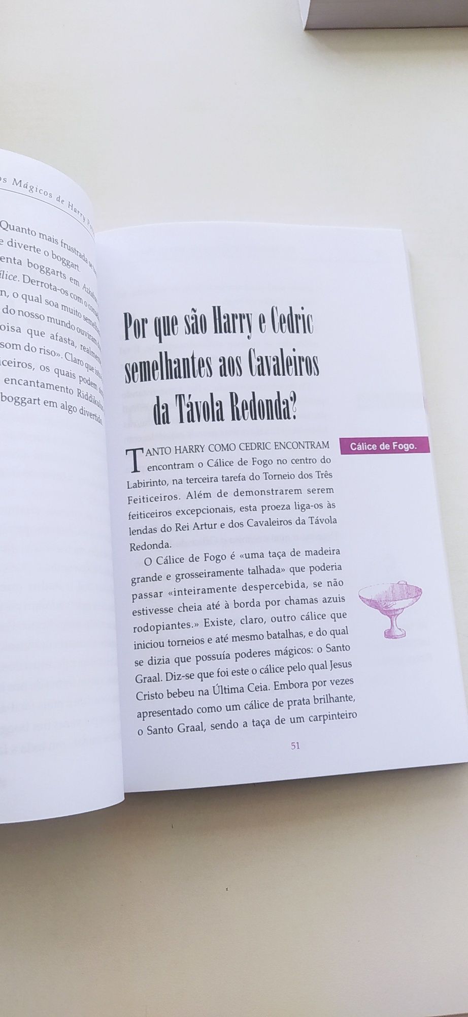 Livro de Barry Potter