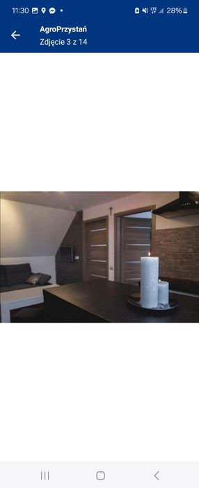 Mieszkania  do wynajęcia