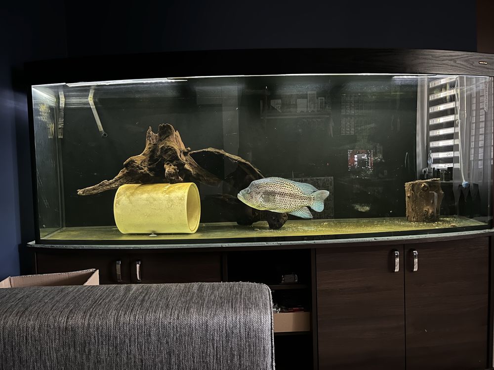 Akwarium 780L caly zestaw