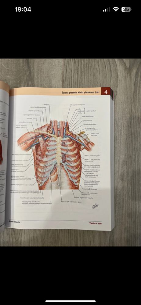 Atlas anatomiczny netter