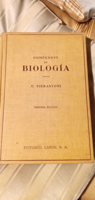 Porque gostamos das mulheres-Mircea C-1ºEG.Paz12E-Drow J.Diaz5EDesde2E