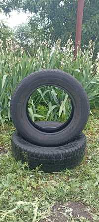 Шини Firestone 195/65/R15 91H