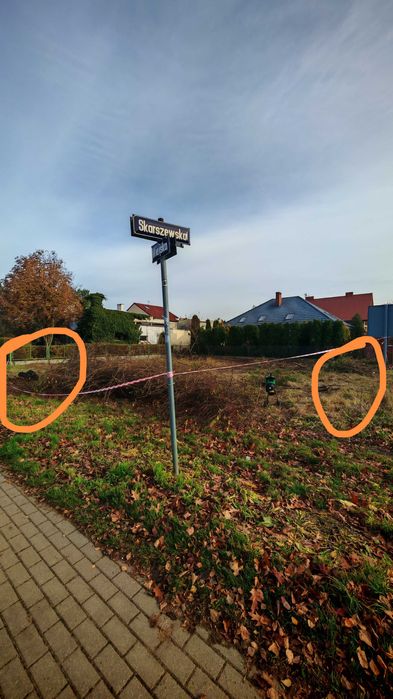 Drewno/Gałęzie ZA DARMO o dowolnej porze - Kto pierwszy ten lepszy