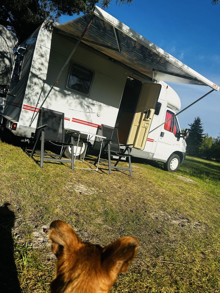 Pole kempingowe i namiotowe nad jeziorem