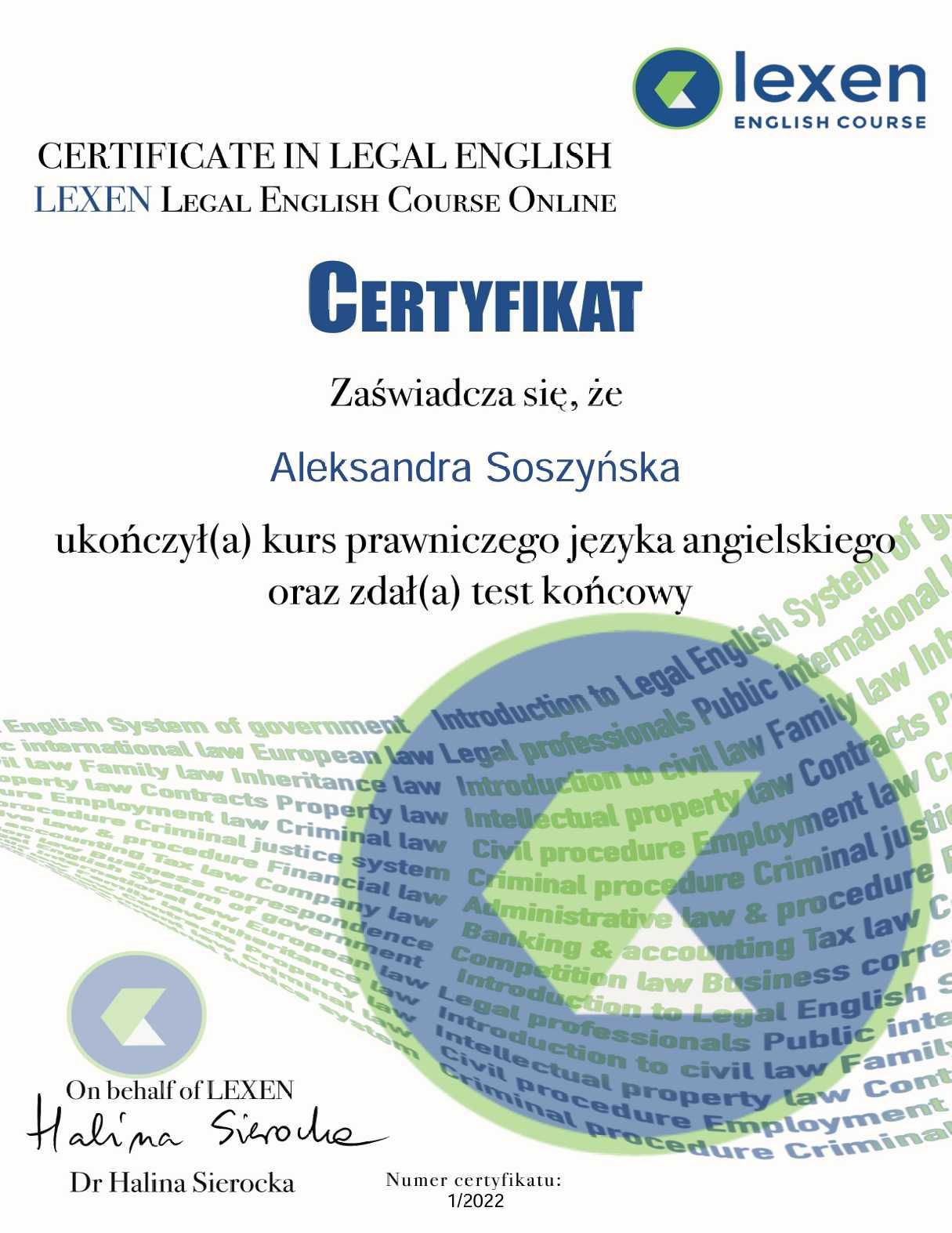 Korepetycje z języka angielskiego – dzieci i dorośli!
