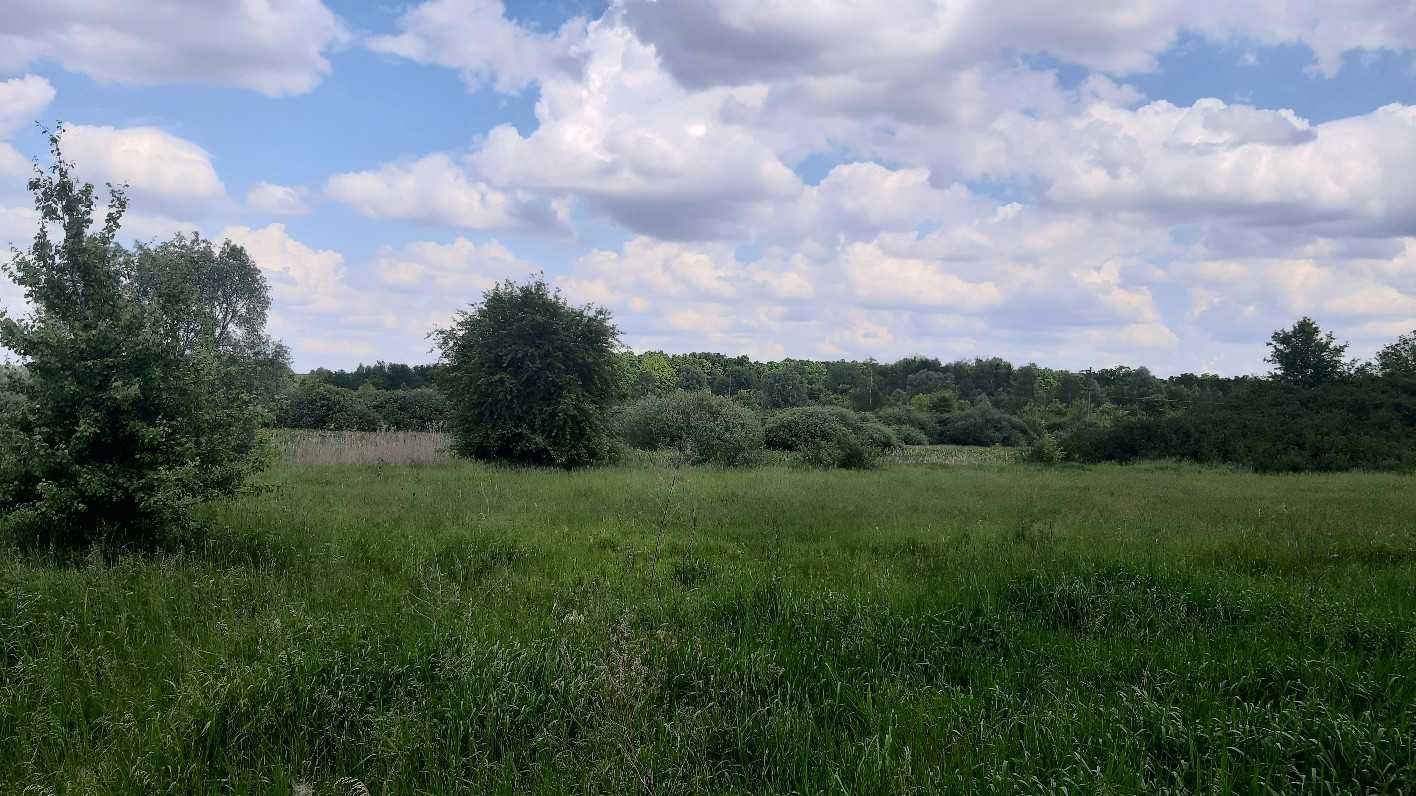 Земельні ділянки заг. пл. 4,0000 га під ОСГ Головурівський с/о
