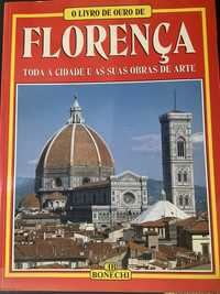 Livros cidades Italianas, Roma, Florenca, Venice, capela Sistina, Pádua