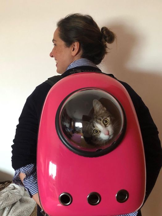 Mala de transporte de gato